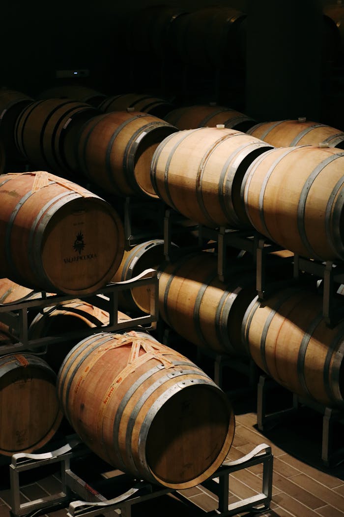Row of traditional wooden wine barrels in a dimly lit cellar, highlighting natural wood grain and craftsmanship.
