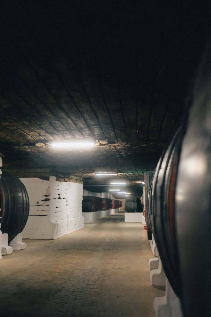 An atmospheric wine cellar with large wooden barrels along the walls, lit with overhead lights.